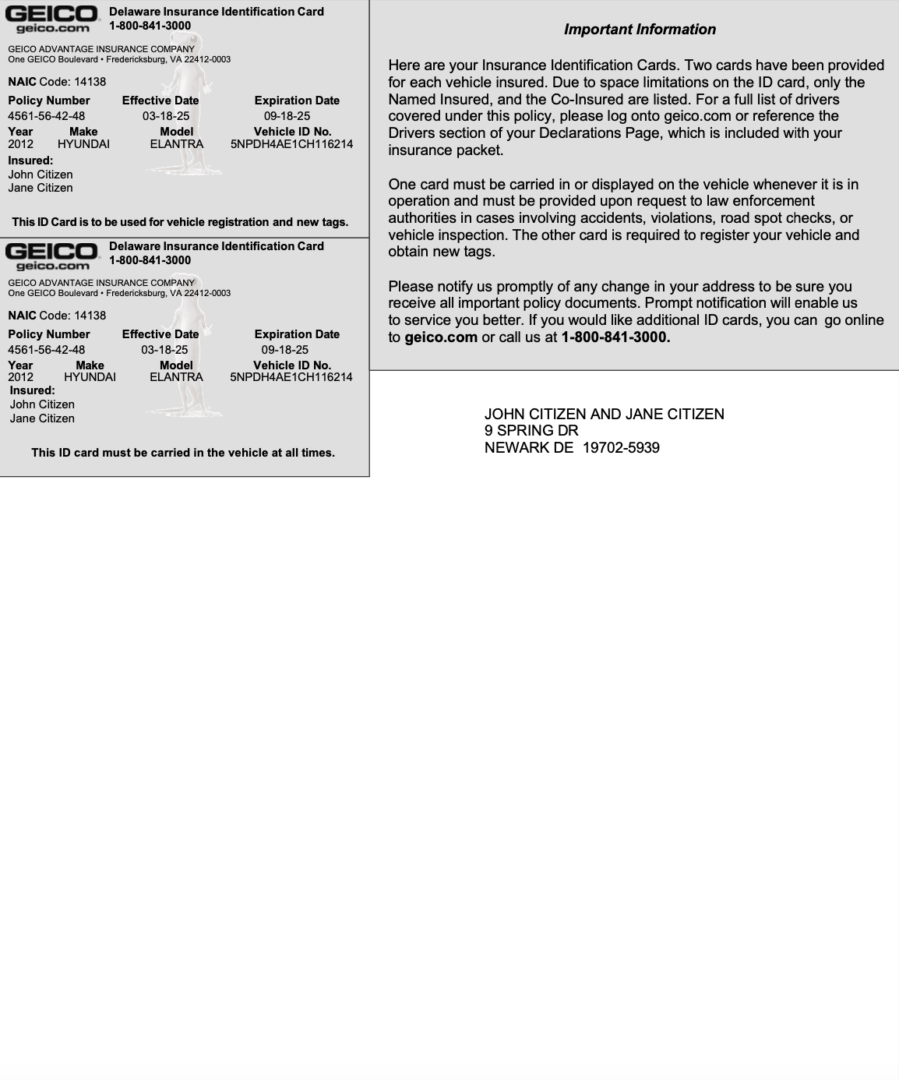 USA GEICO Delaware Insurance identification card Word and PDF template