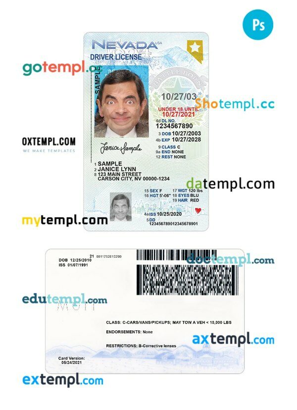 USA Nevada under 21 driving license PSD editable template