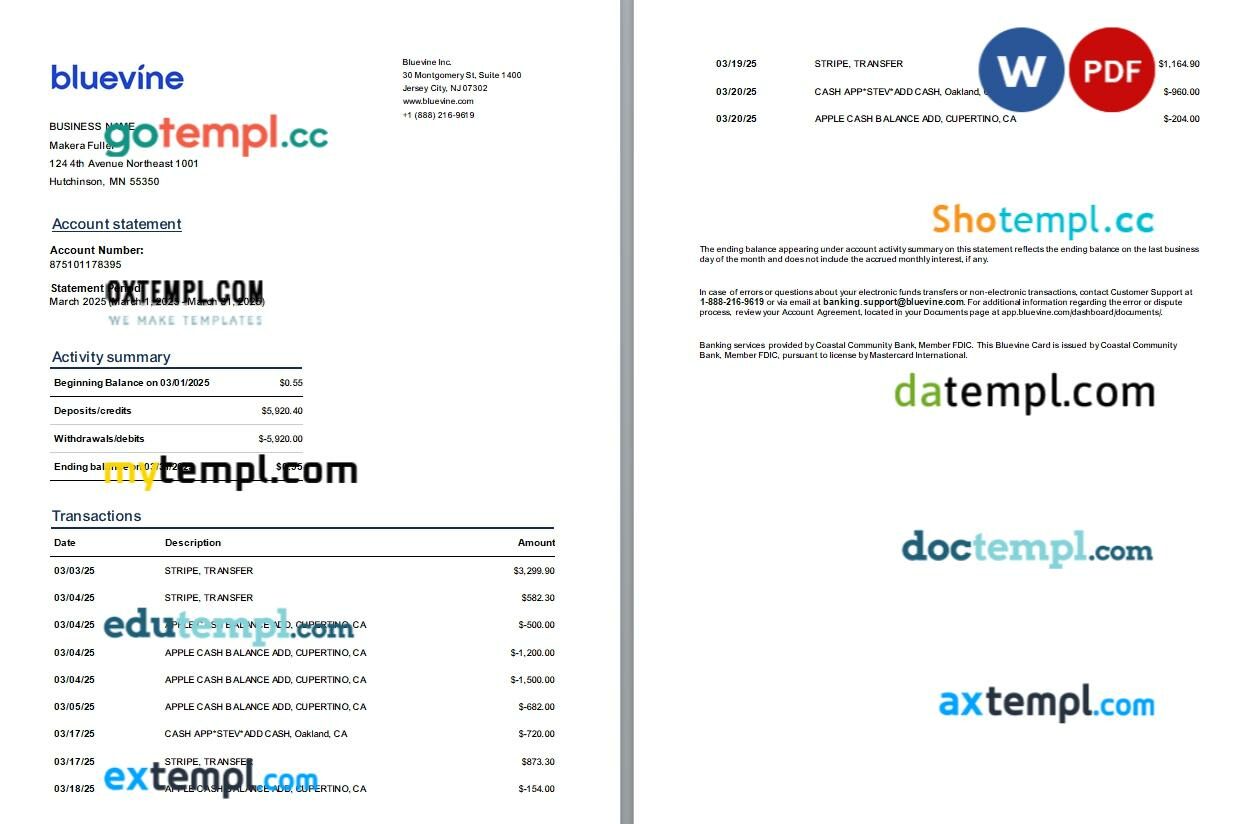 USA New Jersey Bluevine business bank statement template, 3 pages