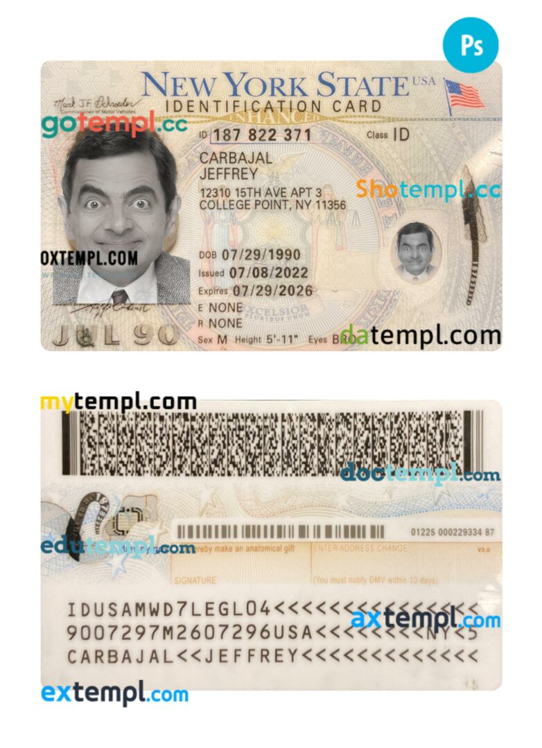 USA New York ID card PSD template, 2022-present