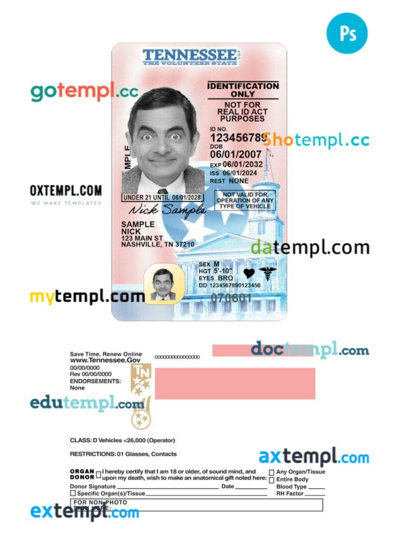 USA Tennessee under 21 driving license PSD editable template, 2024-present