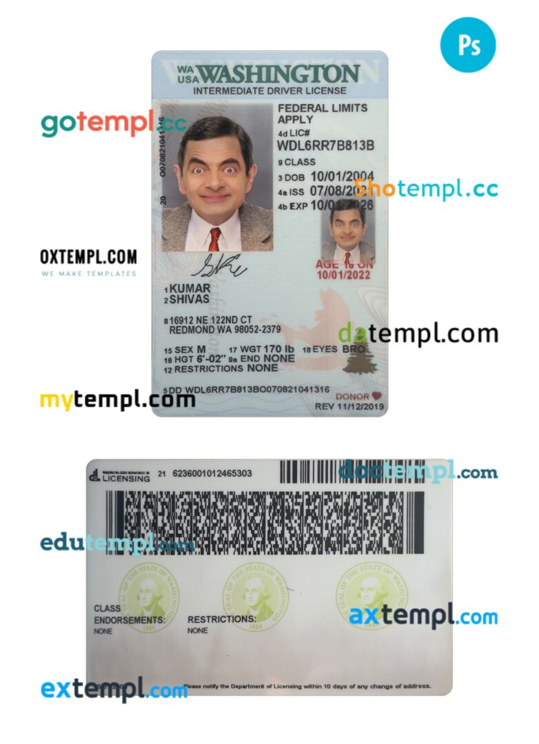 USA Washington under 21 intermediate driving license PSD editable template