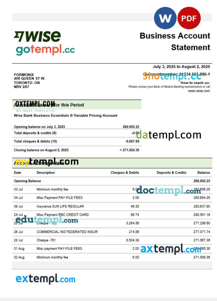 Wise company checking account statement Word and PDF template