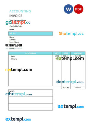 sample Accounting Service Invoice template in word and pdf format download