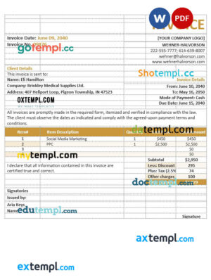 sample Basic agency invoice template in word and pdf format download