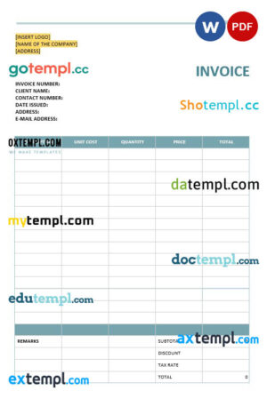 sample Blank Software Invoice template in word and pdf format download