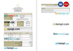 sample Blank Work From Home Invoice template in word and pdf format download