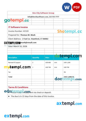 sample IT Software Invoice template in word and pdf format download