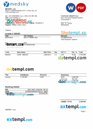sample Portugal Medsky Lda company invoice template in Word and PDF format, fully editable download