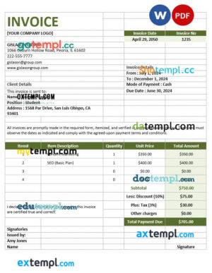 sample Simple Agency Invoice template in word and pdf format download