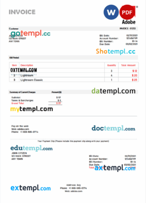 sample USA Adobe invoice template in Word and PDF format, fully editable download