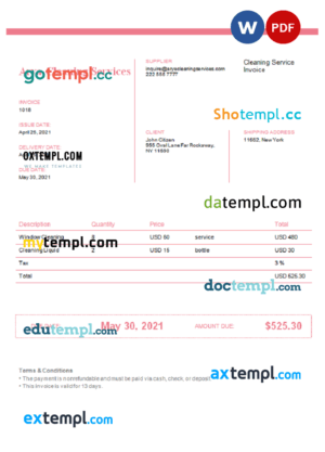 sample USA Arya Cleaning Services invoice template in Word and PDF format, fully editable download