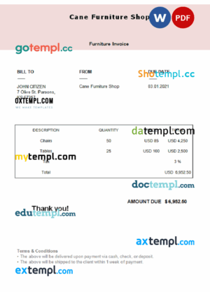 sample USA Cane Furniture Shop invoice template in Word and PDF format, fully editable download