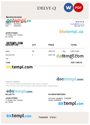 sample USA Delve Q invoice template in Word and PDF format, fully editable download