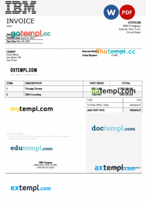 sample USA IBM invoice template in Word and PDF format, fully editable download