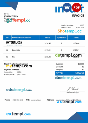 sample USA Intuit invoice template in Word and PDF format, fully editable download