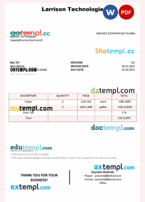 sample USA Larrison Technologies invoice template in Word and PDF format, fully editable download