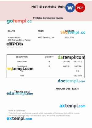 sample USA MST Electricity Unit invoice template in Word and PDF format, fully editable download