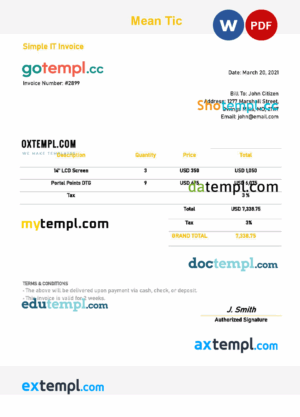 sample USA Mean Tic invoice template in Word and PDF format, fully editable download