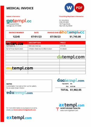 sample USA New York Northridge Health Center medical invoice template in Word and PDF format, fully editable download