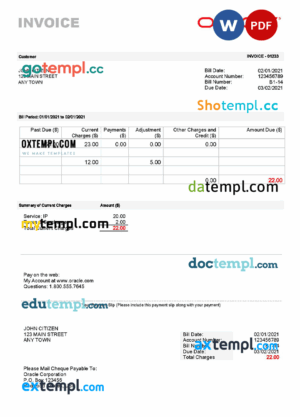 sample USA Oracle invoice template in Word and PDF format, fully editable download