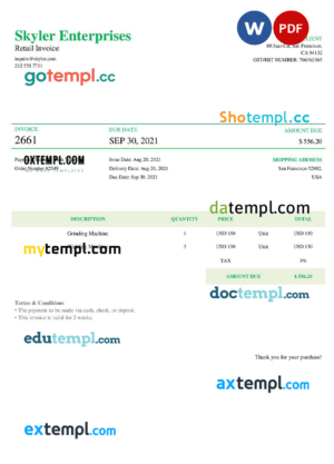 sample USA Skyler Enterprises invoice template in Word and PDF format, fully editable download