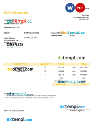 sample USA Soft Vision Inc. invoice template in Word and PDF format, fully editable download