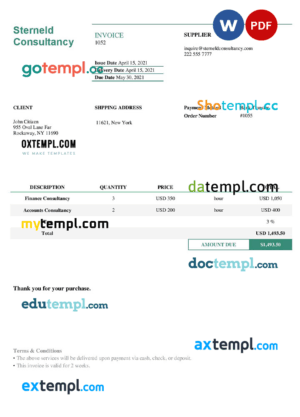 sample USA Sterneld Consultancy invoice template in Word and PDF format, fully editable download