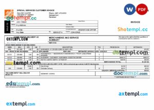 sample USA The Home Depot invoice template in Word and PDF format, fully editable download