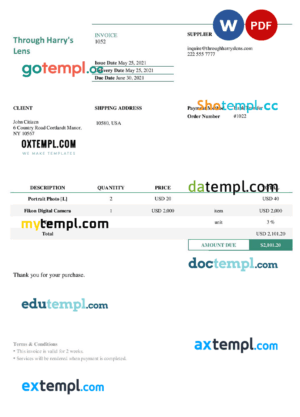 sample USA Through Harry's Lens invoice template in Word and PDF format, fully editable download