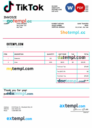 sample USA Tik Tok invoice template in Word and PDF format, fully editable download