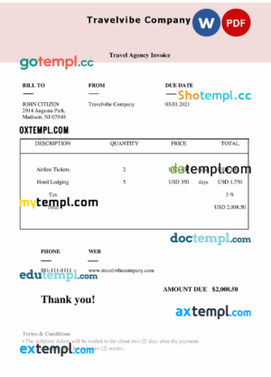 sample USA Travelvibe Company invoice template in Word and PDF format, fully editable download