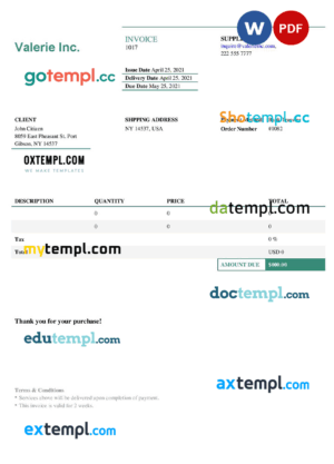 sample USA Valerie Inc. invoice template in Word and PDF format, fully editable download