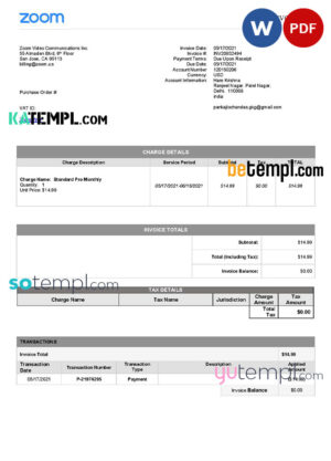 sample USA Zoom invoice template in Word and PDF (.doc and .pdf) format download