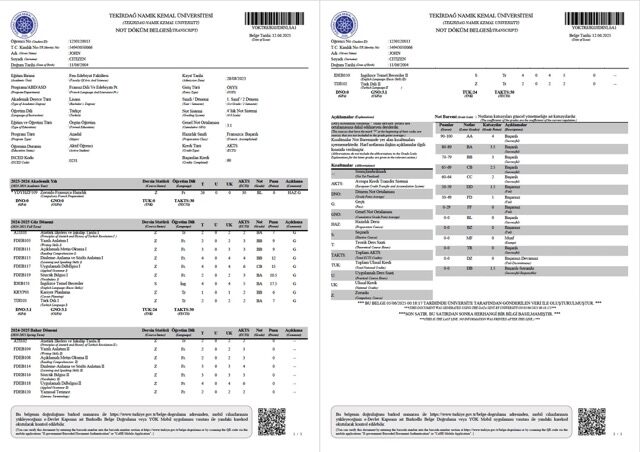 Tekirdağ Namık Kemal University transcript Word and PDF template, 2 pages