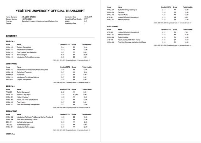 Yeditepe University official transcript Word and PDF template, 2 pages