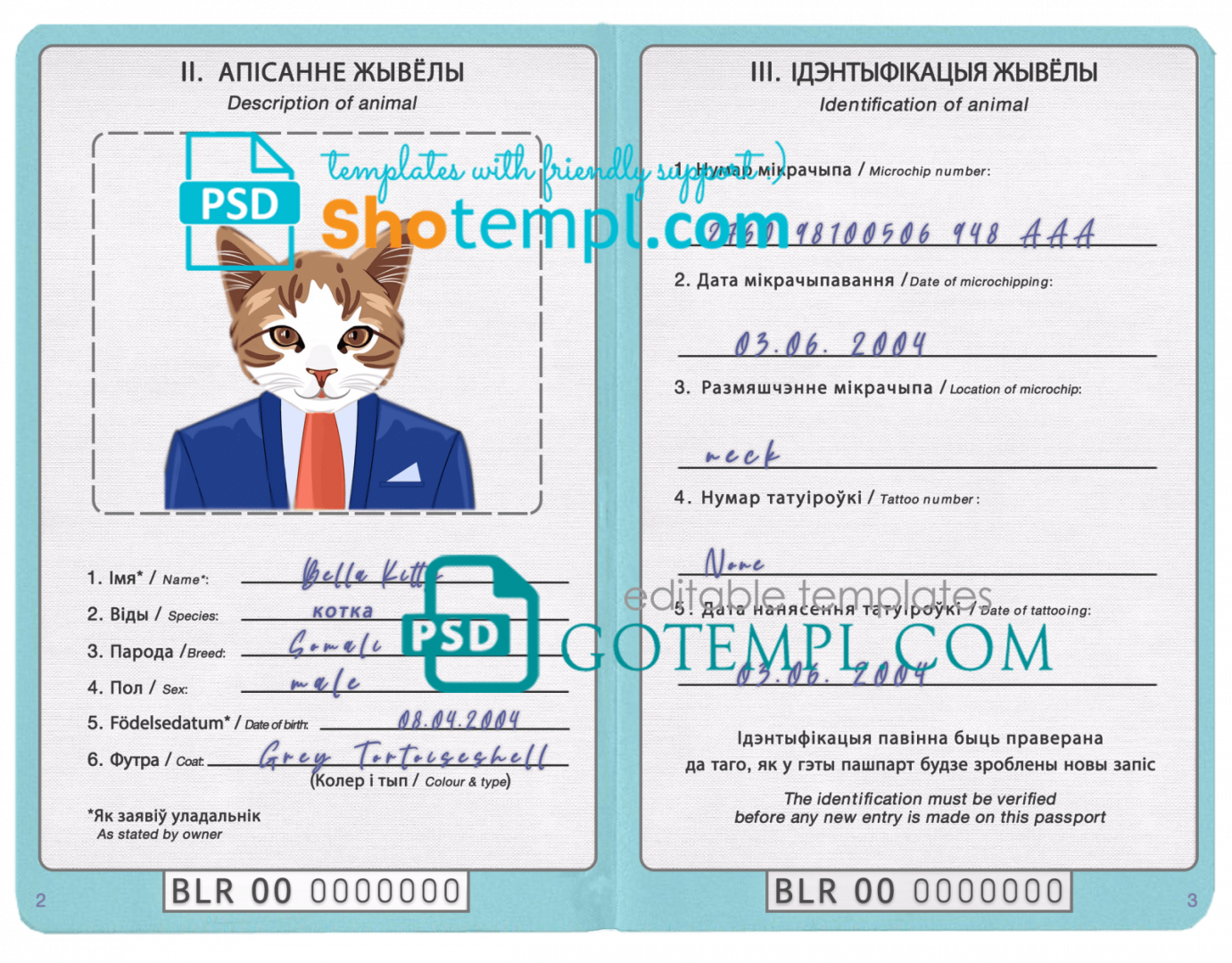 free download Belarusian cat (animal, pet) passport PSD example, fully editable