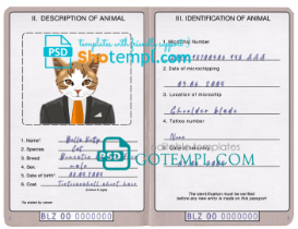 free download Belizean cat (animal, pet) passport PSD example, fully editable