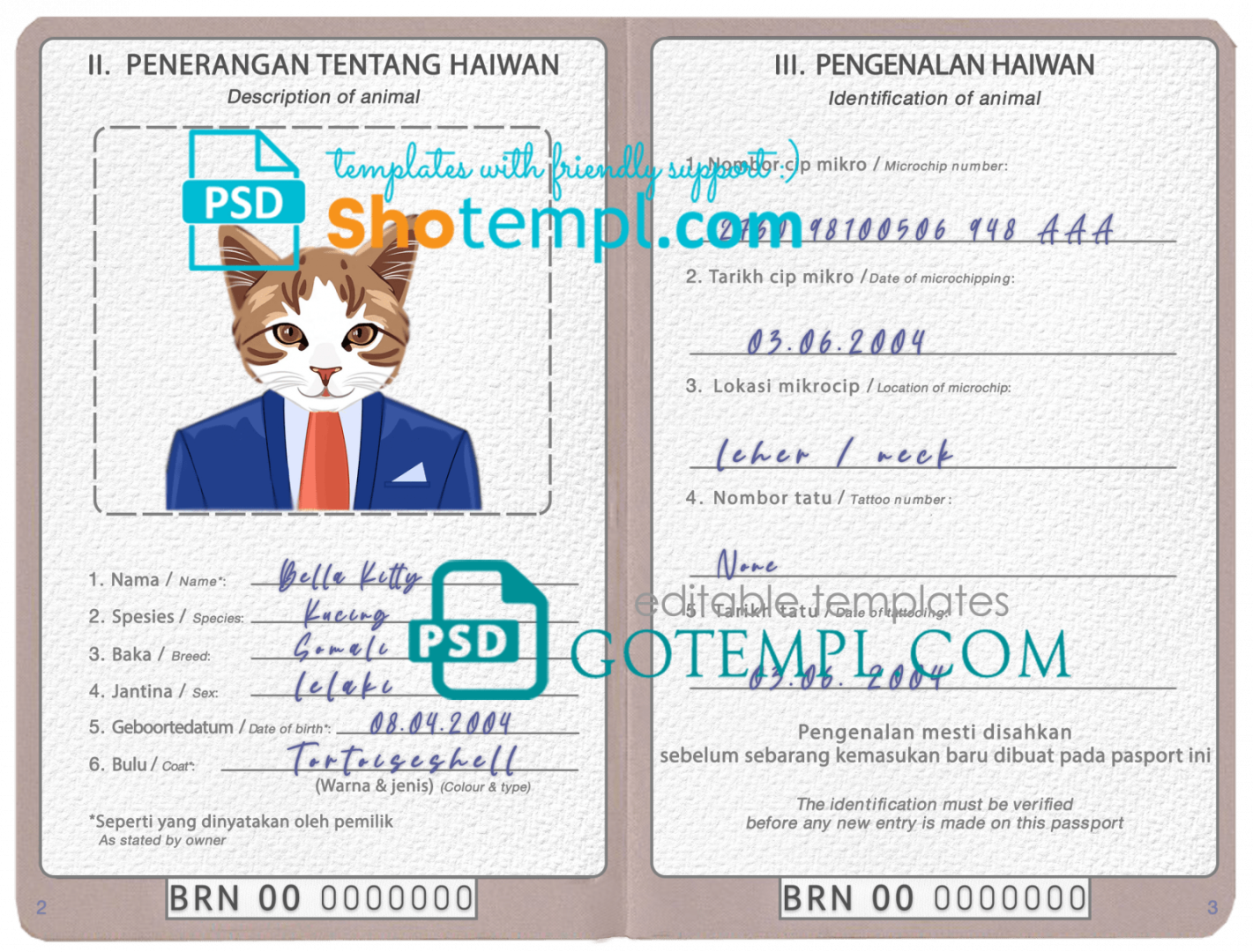 free download Bruneian cat (animal, pet) passport PSD example, completely editable