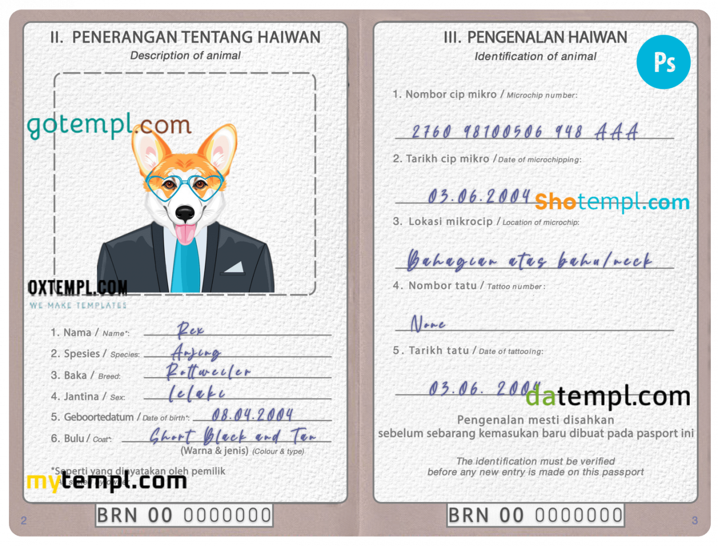 free download Bruneian dog (animal, pet) passport PSD example, completely editable