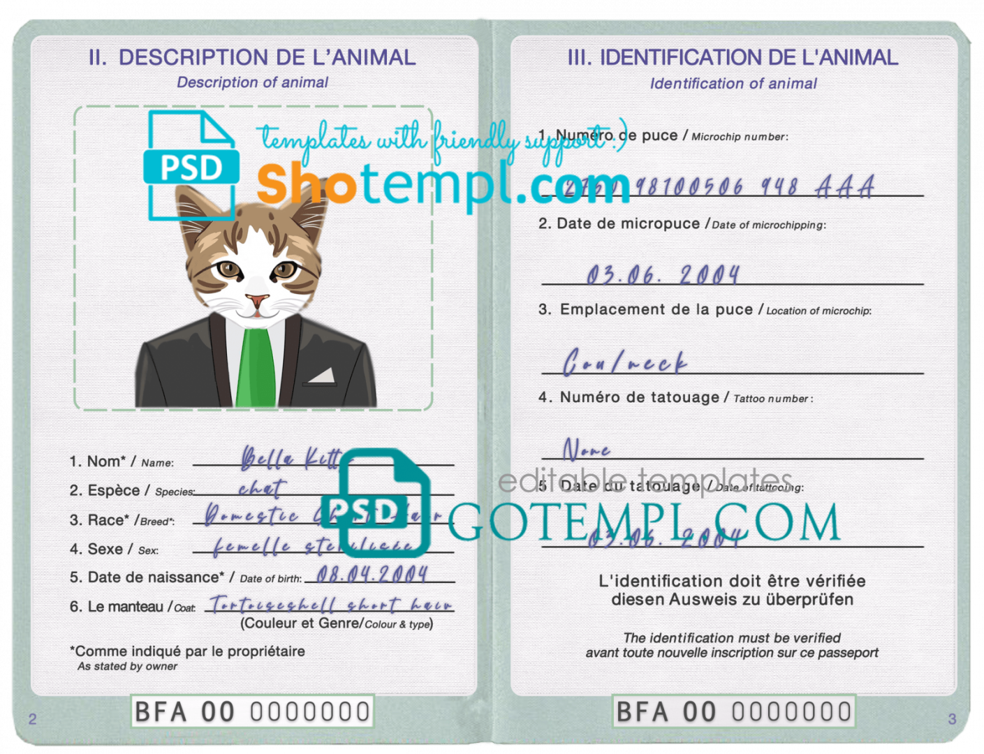 free download Burkinabé cat (animal, pet) passport PSD example, fully editable
