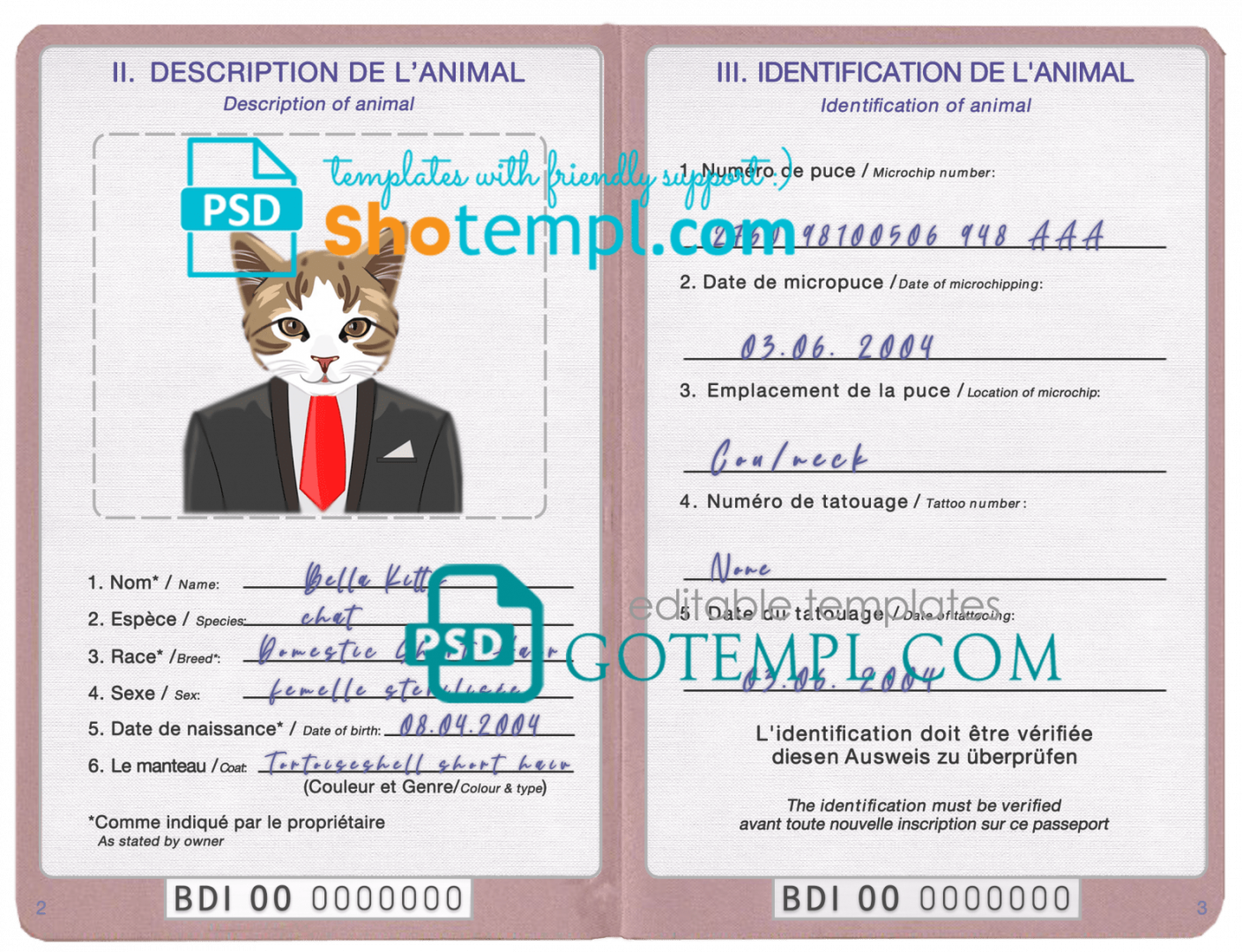 free download Burundian cat (animal, pet) passport PSD example, fully editable