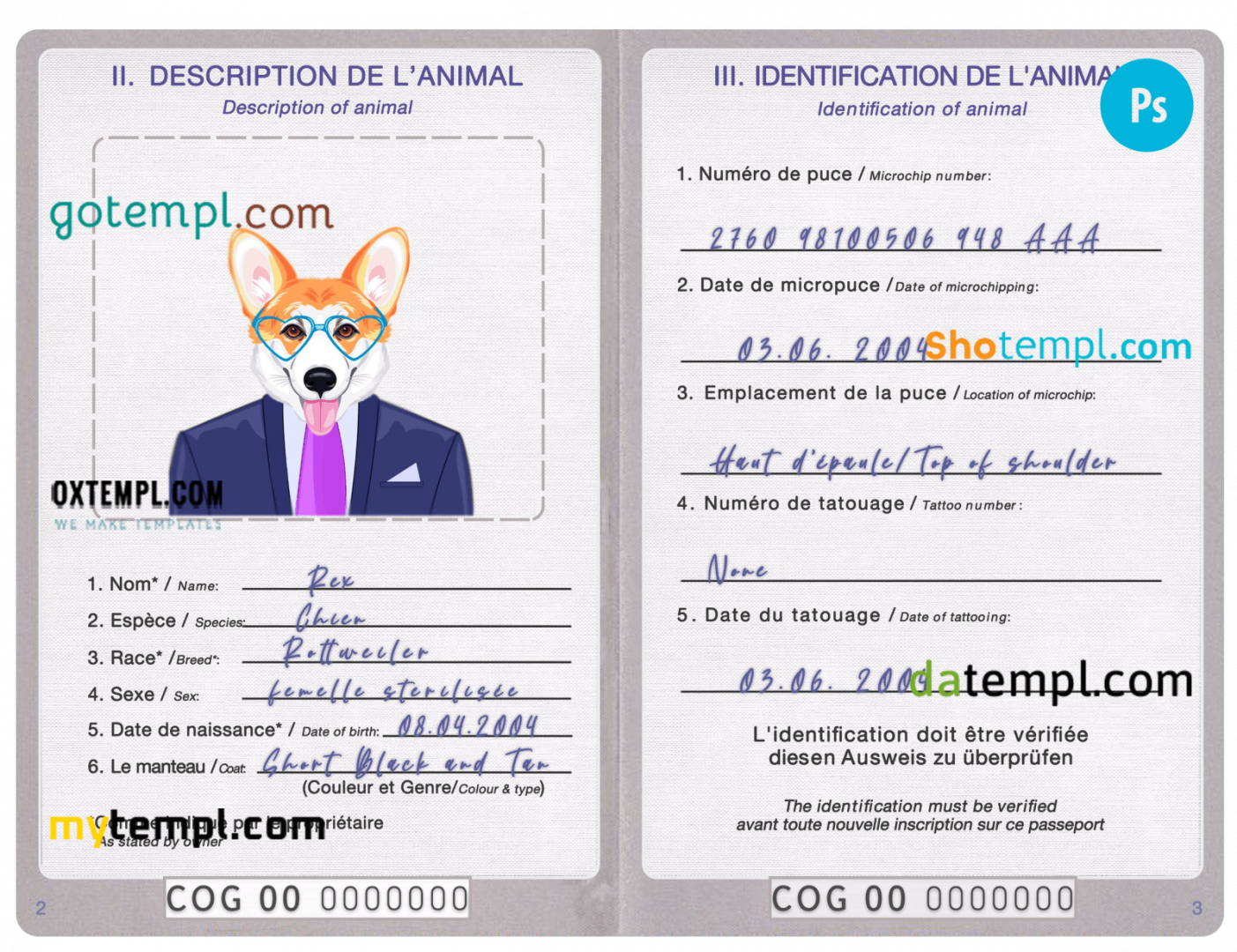 free download Congo dog (animal, pet) passport PSD example, completely editable