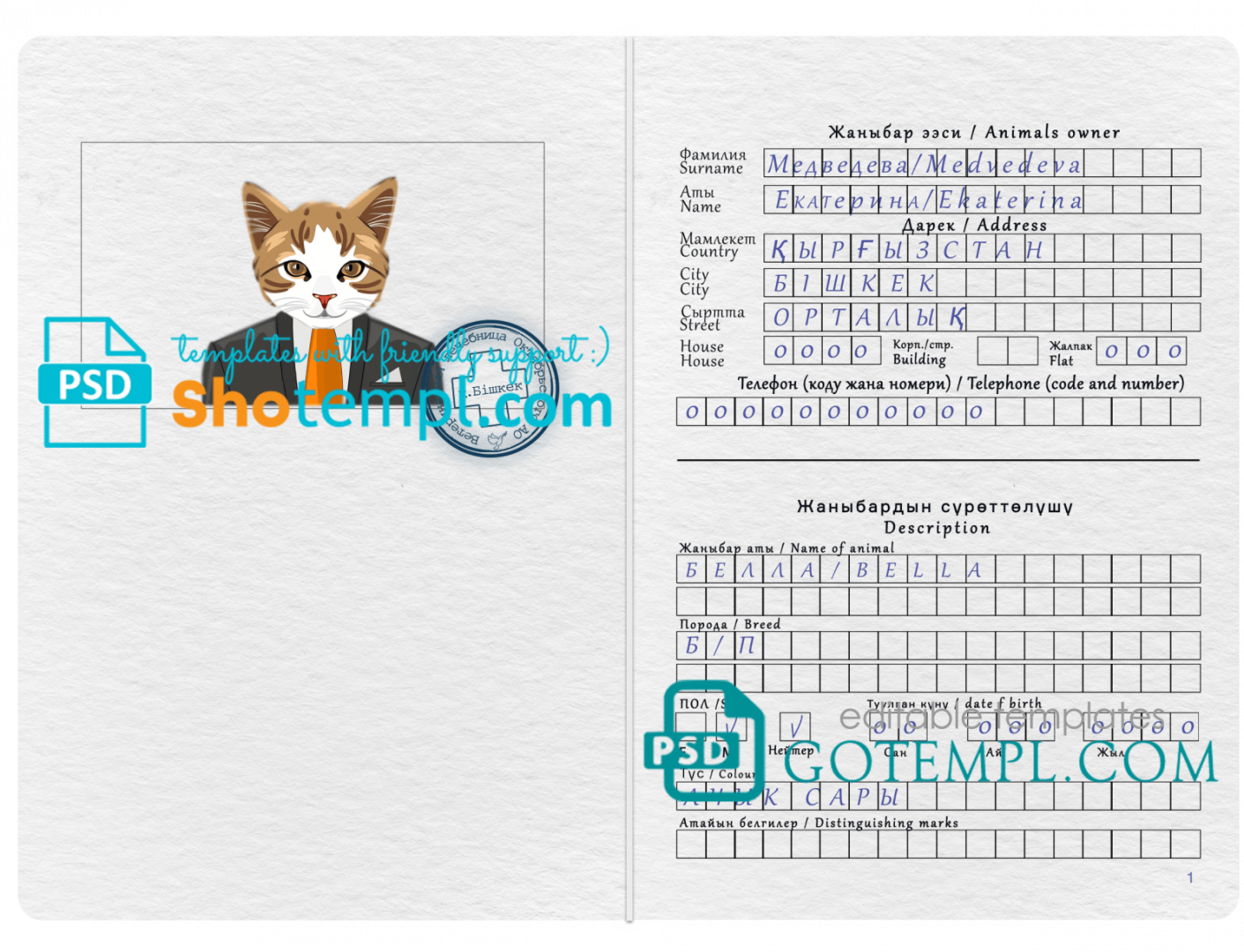 free download Kirghiz cat (animal, pet) passport PSD example, fully editable