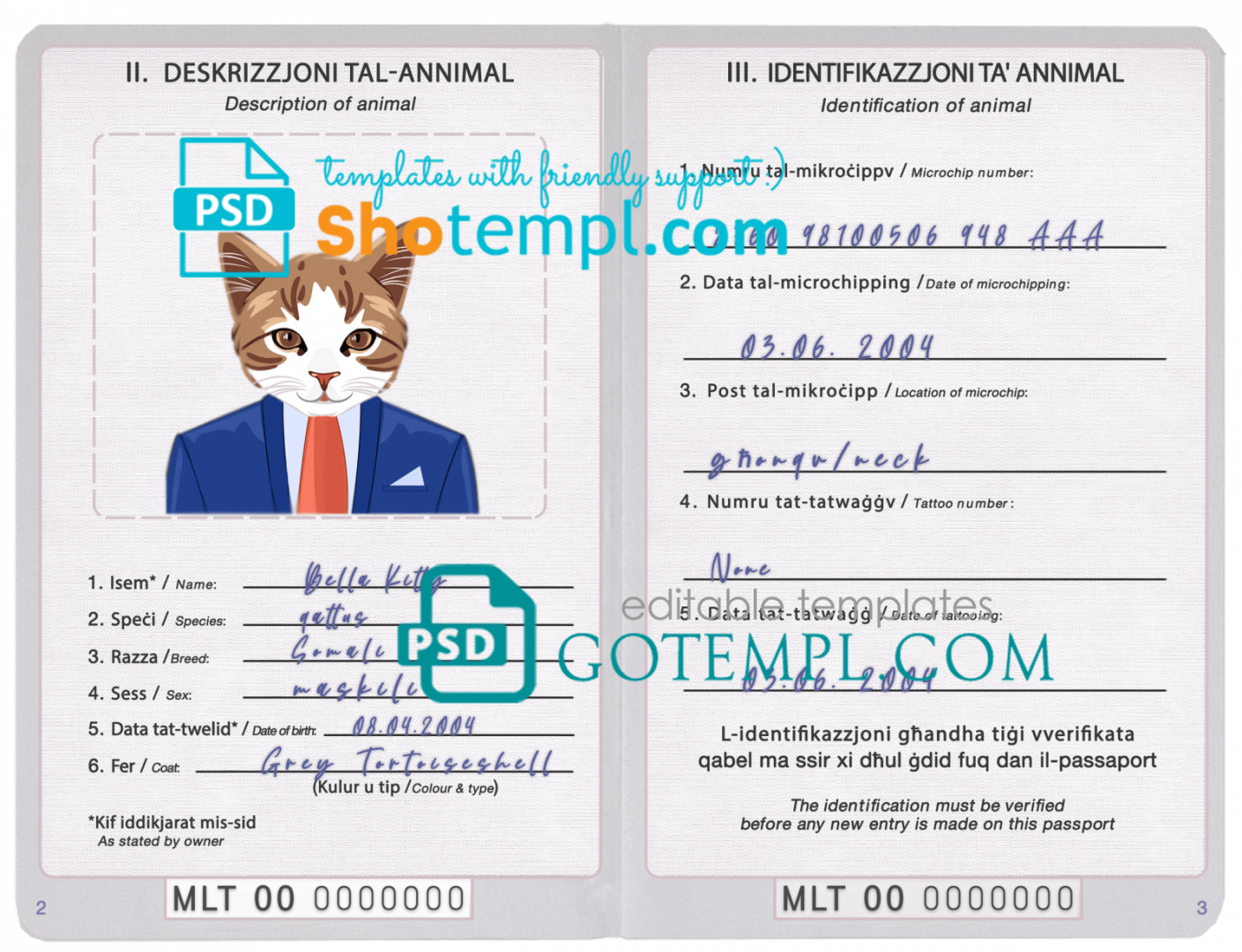 free download Maltese cat (animal, pet) passport PSD example, completely editable