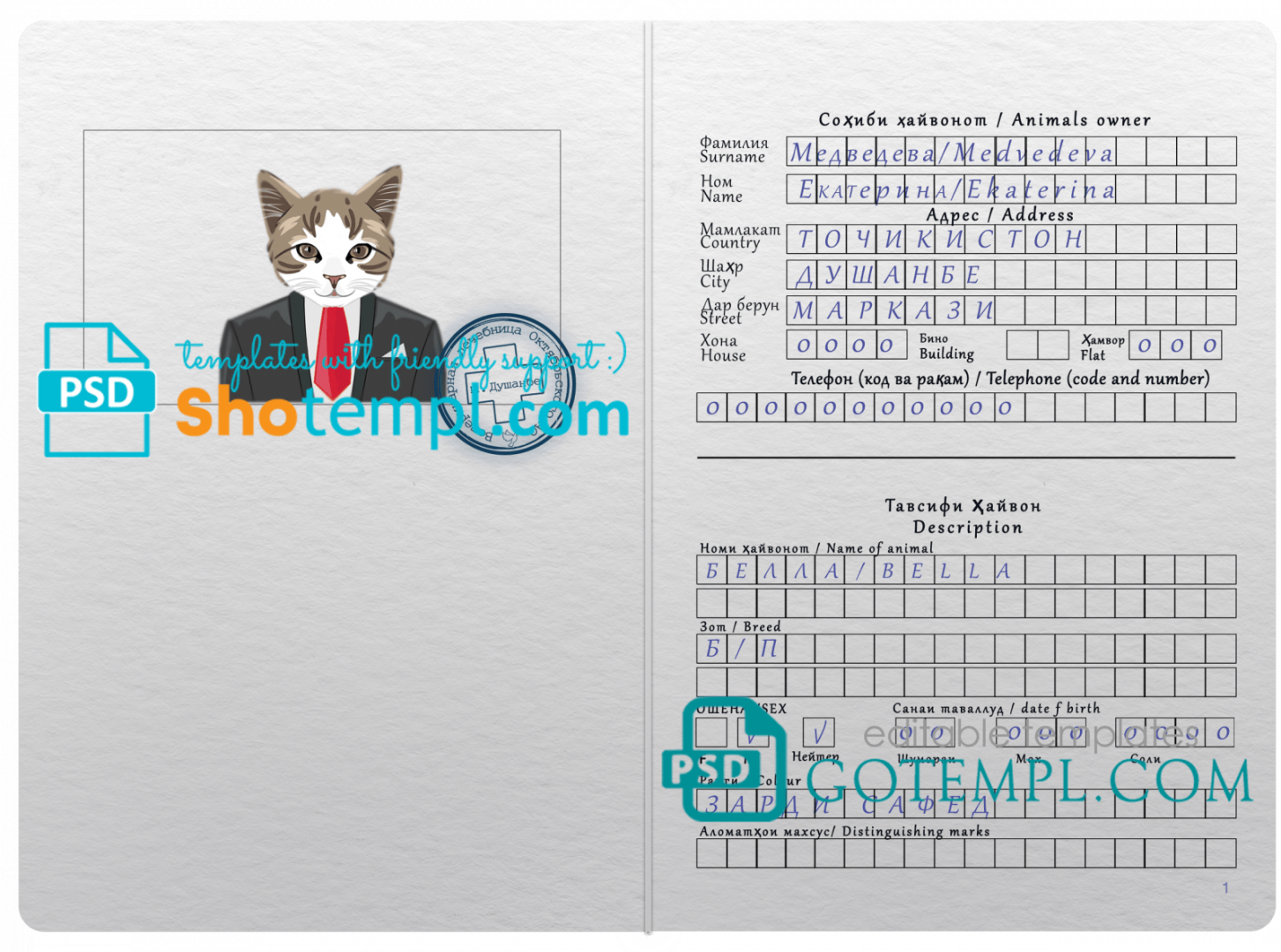 free download Tajikistani cat (animal, pet) passport PSD example, fully editable