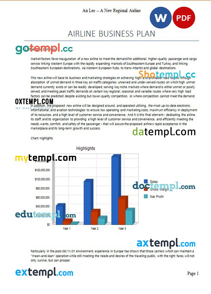 airline business plan example in Word and PDF formats