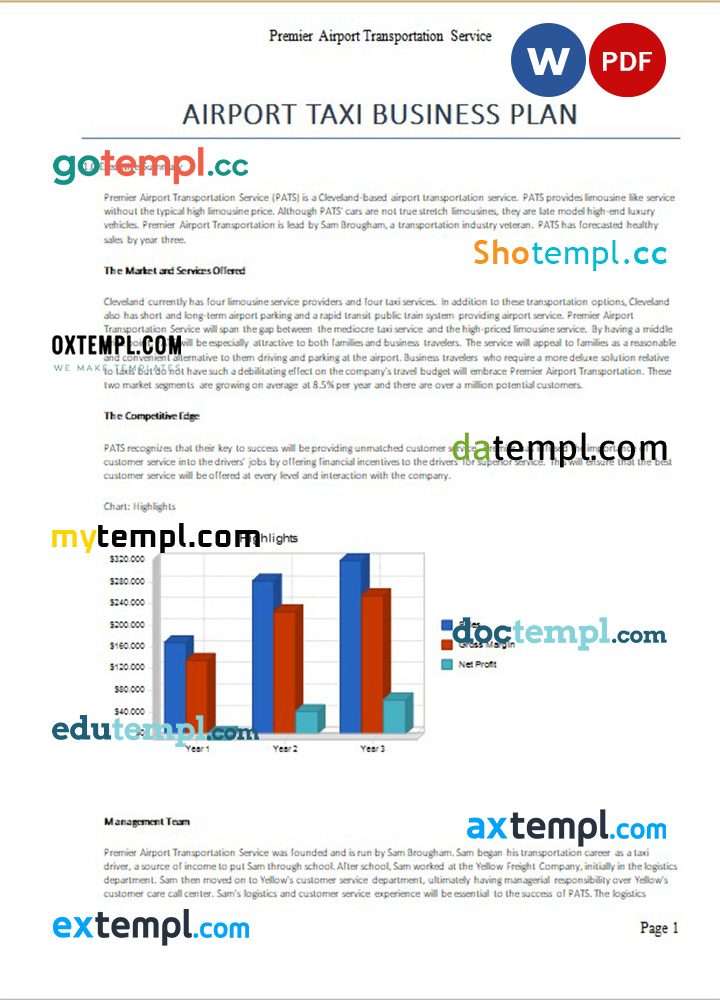 airport taxi business plan example in Word and PDF formats