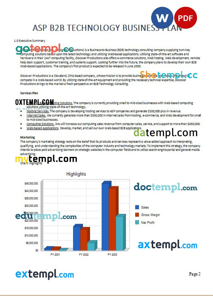 asp b2b technology business plan example in Word and PDF formats