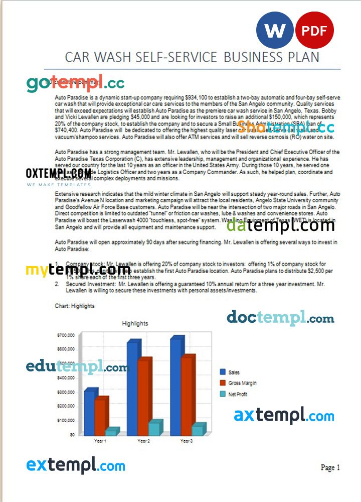 car wash self-service business plan example in Word and PDF formats